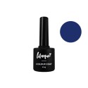 lilaque Colour Coat king 8,5ml