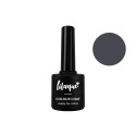 lilaque Gel-Lack Colour Coat ready for more 8,5ml