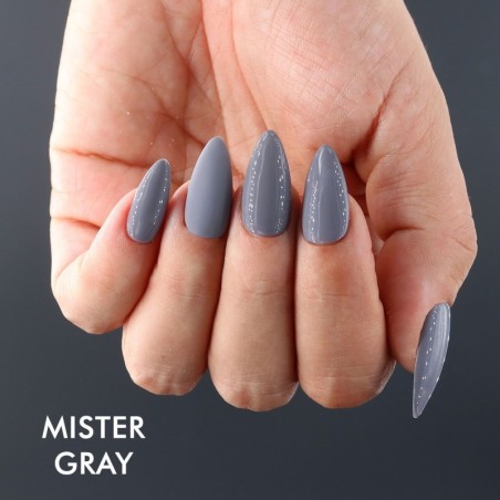 UV Polish Plus Mister Gray