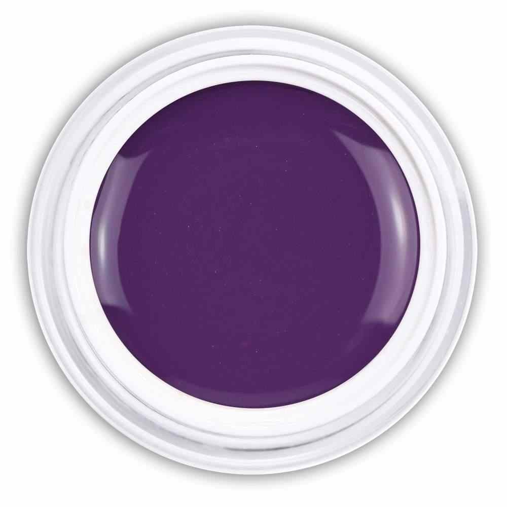 Farbgel Indige Lilac