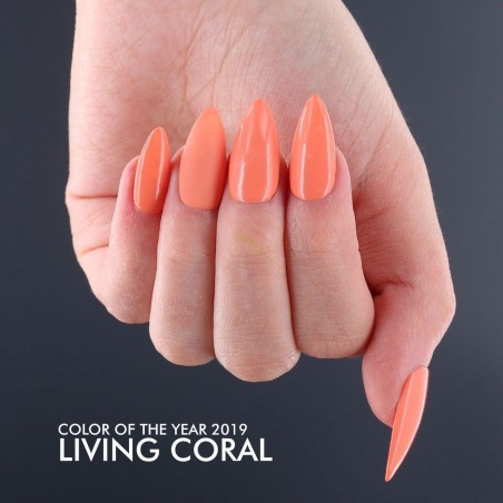 Farbgel Living Coral - Farbe des Jahres 2019