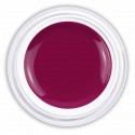 Farbgel Glossy Red Purple
