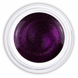 Farbgel Glossy Luxury Plum