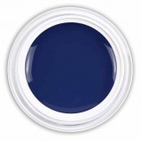 Farbgel Blue Iris - Farbe des Jahres 2008