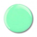 Farb-Acryl Pulver - Nr. 12 light green