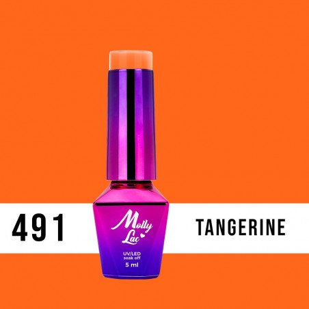Hybridlack Neon Tangerine Nr. 491